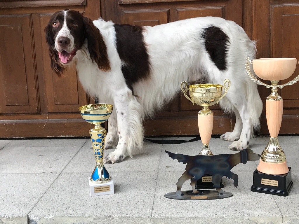 Du Domaine De Lou Meou - MEILLEUR CHIEN DE LA NATIONALE D'ELEVAGE 2018