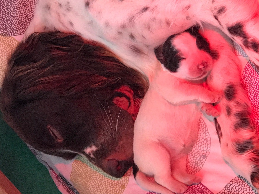 PORTEE NAYA. 02/10/2019